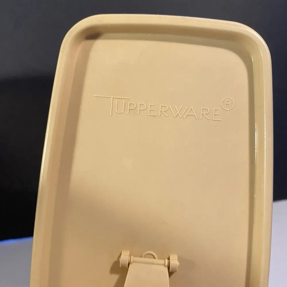Vintage Tupperware Clear 499 Lidded Store N Pour Container.